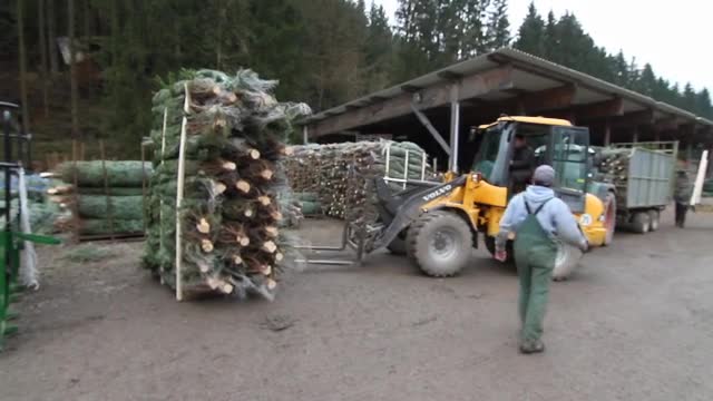 Feldmann Schütte