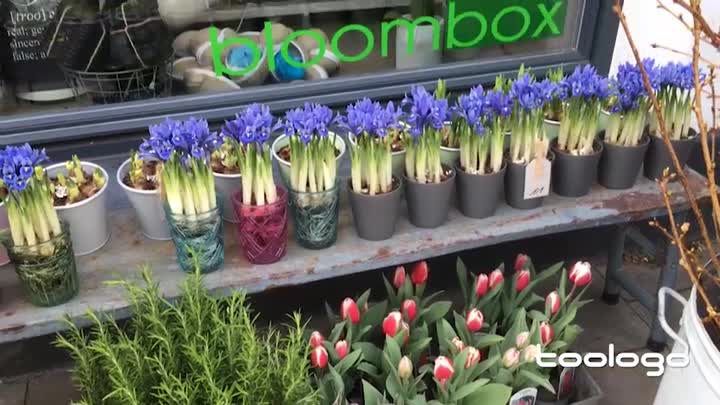 bloombox